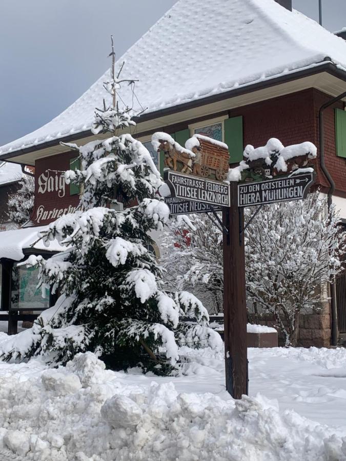 Fewo Fuchs Saig Lenzkirch Exterior photo