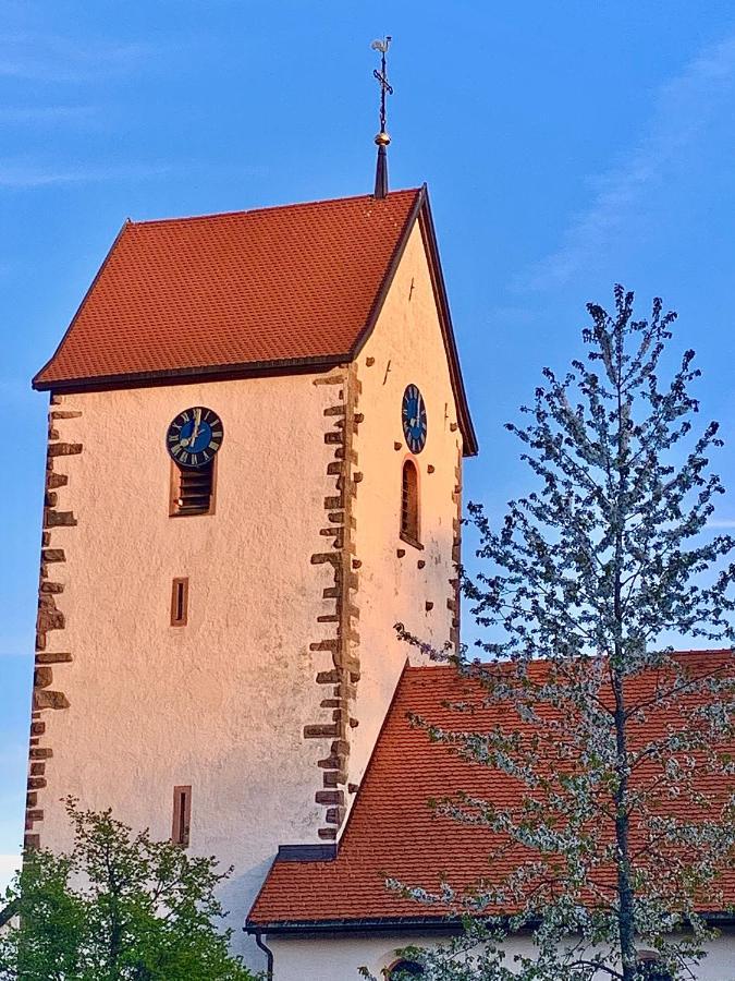 Fewo Fuchs Saig Lenzkirch Exterior photo