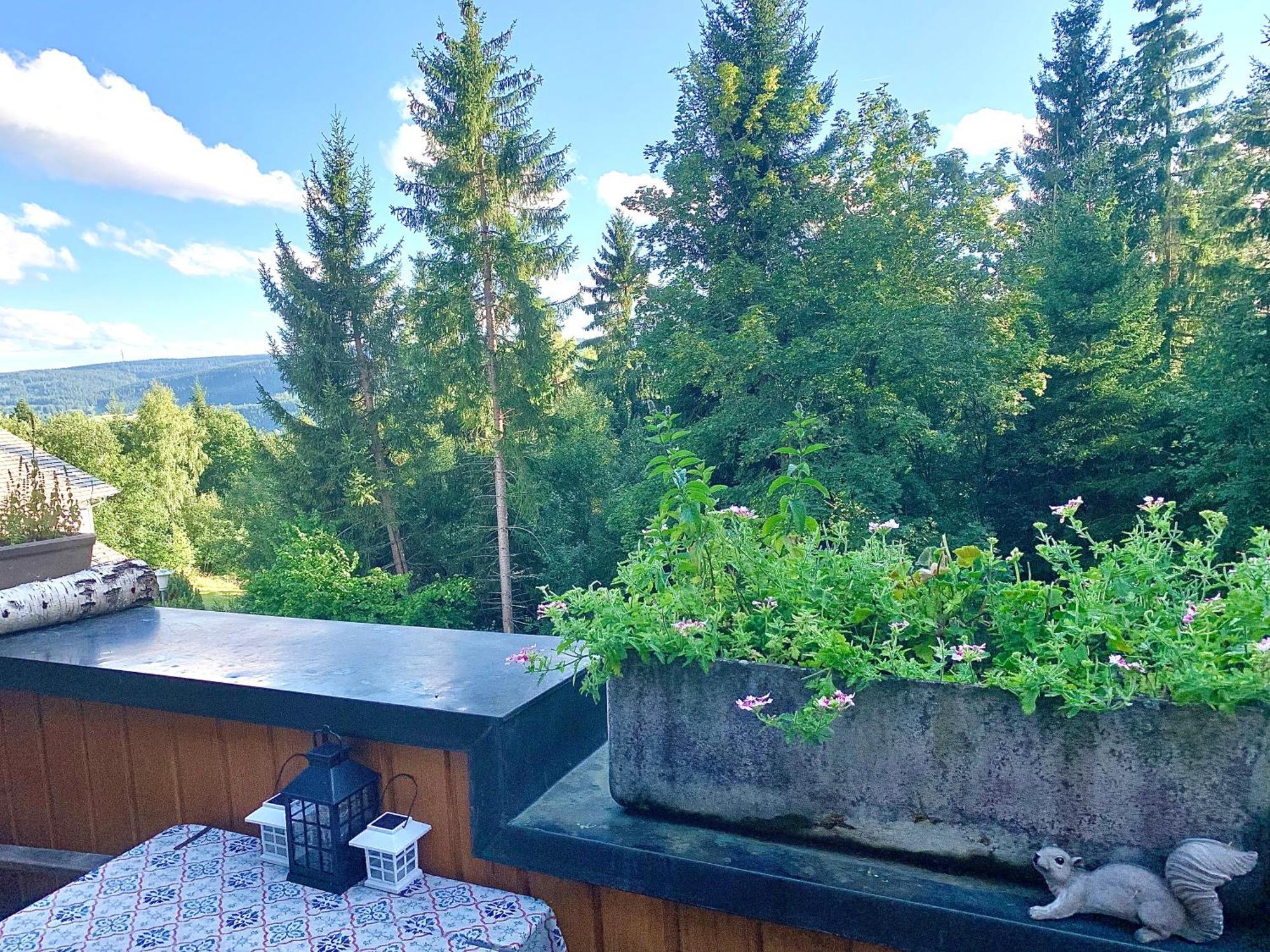 Fewo Fuchs Saig Lenzkirch Room photo